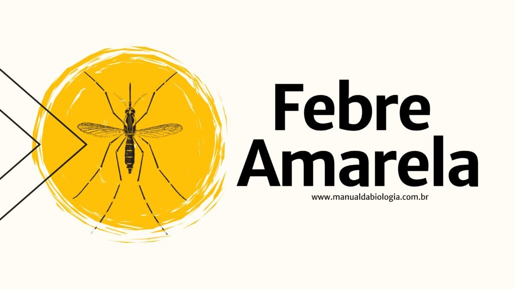 Doenças Tropicais: Febre Amarela