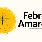 Doenças Tropicais: Febre Amarela