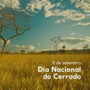 biomas-brasileiros-cerrado