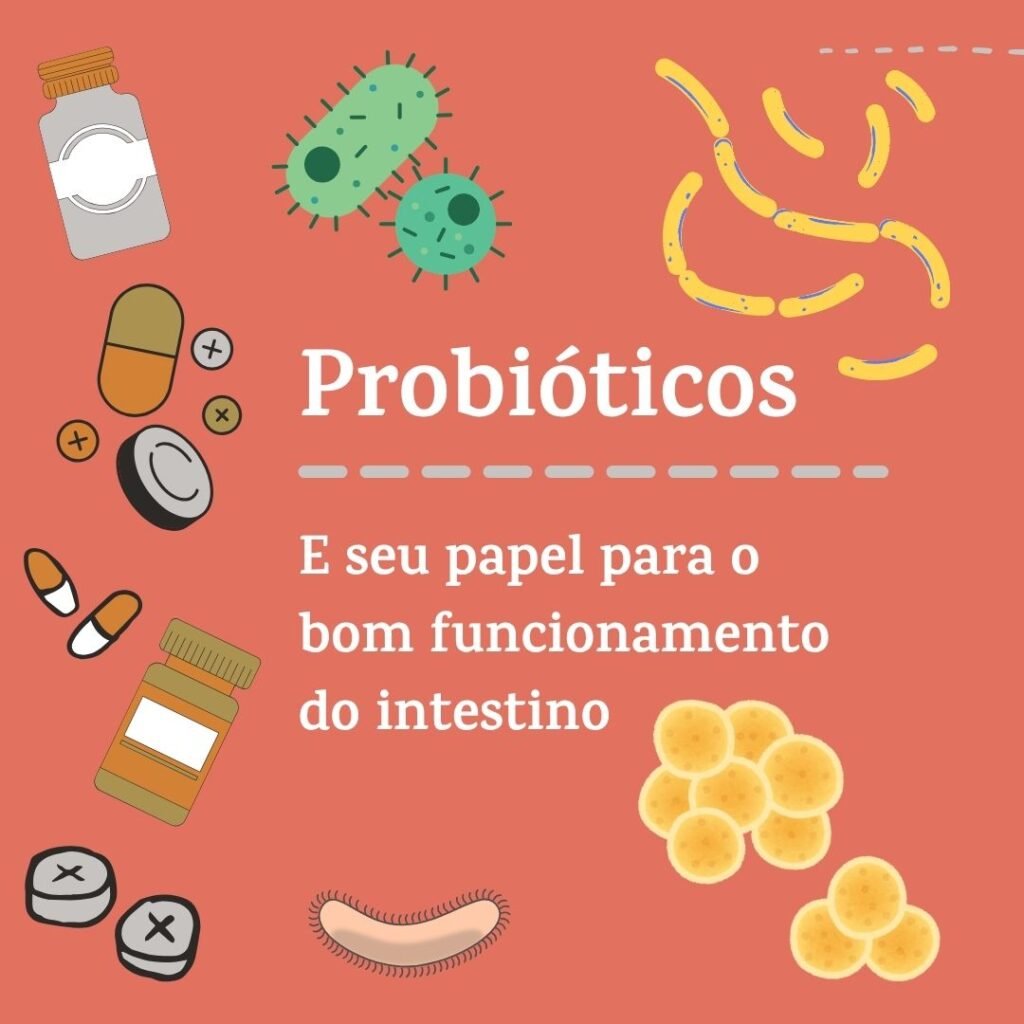 alimentos probióticos