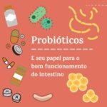 alimentos probióticos