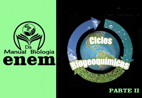 QUESTÕES DO ENEM - CICLOS BIOGEOQUÍMICOS