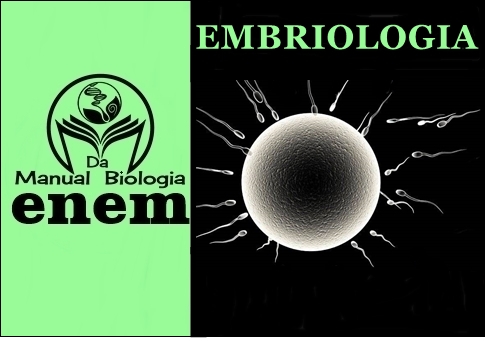 QUESTÕES DO ENEM - EMBRIOLOGIA