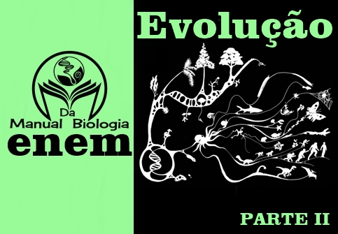 QUESTÕES DO ENEM - EVOLUÇÃO