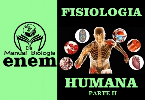 QUESTÕES DO ENEM - FISIOLOGIA HUMANA