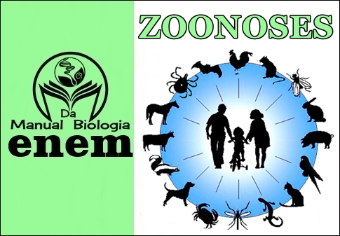 QUESTÕES DO ENEM - ZOONOSES