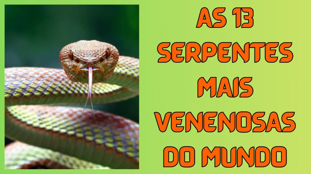serpentes mais venenosas