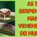 serpentes mais venenosas
