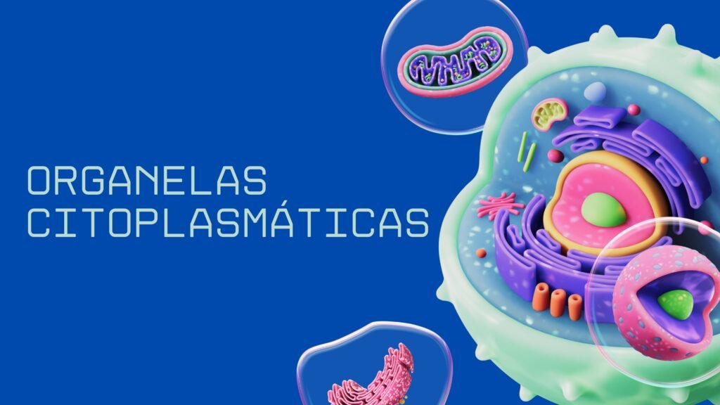 organelas
