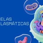 organelas