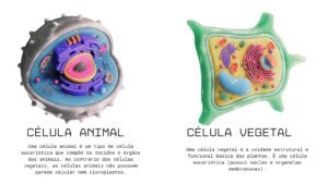 celulas