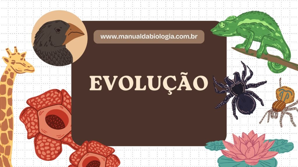 questões evolução 9 ano