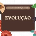 questões evolução 9 ano