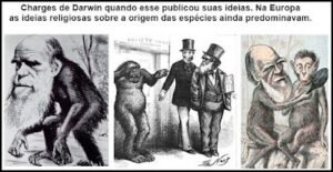 questões evolução 9 ano