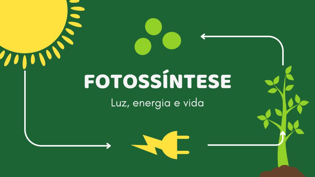 fotossíntese