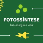fotossíntese