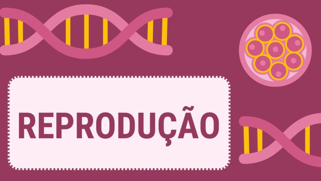 questões reprodução 9º