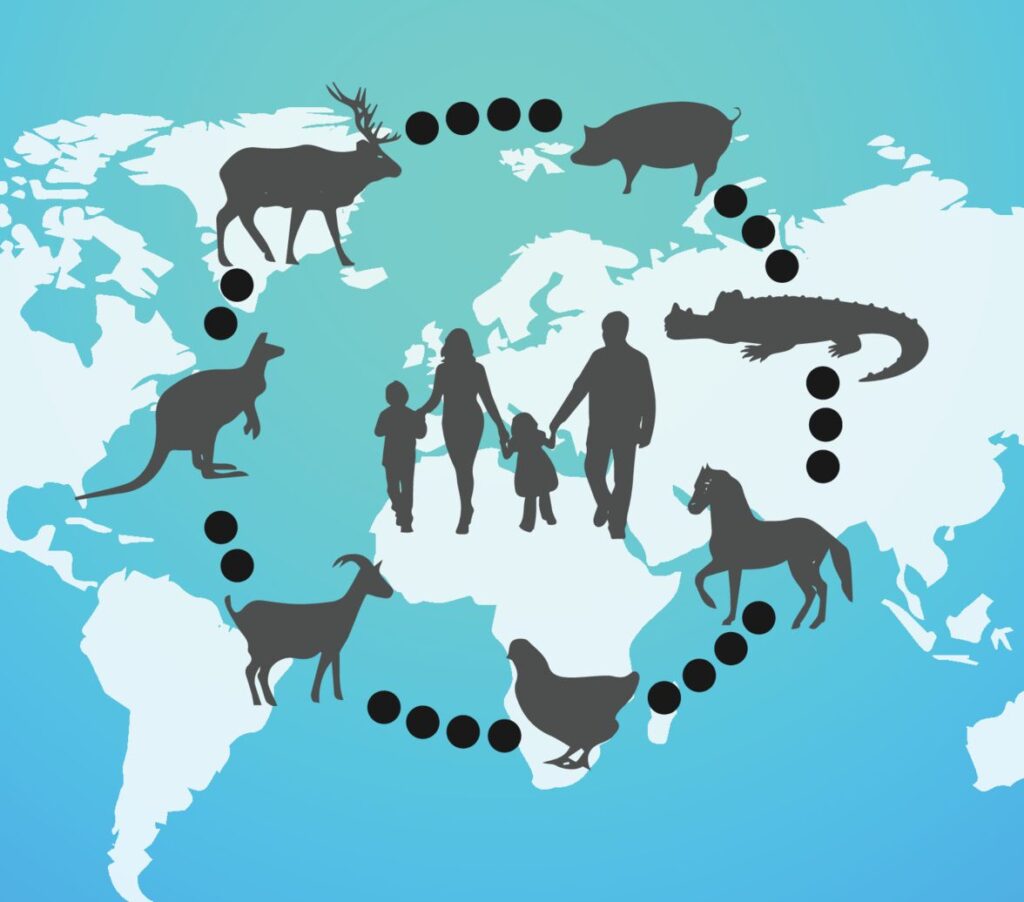 zoonoses doenças animais humanos