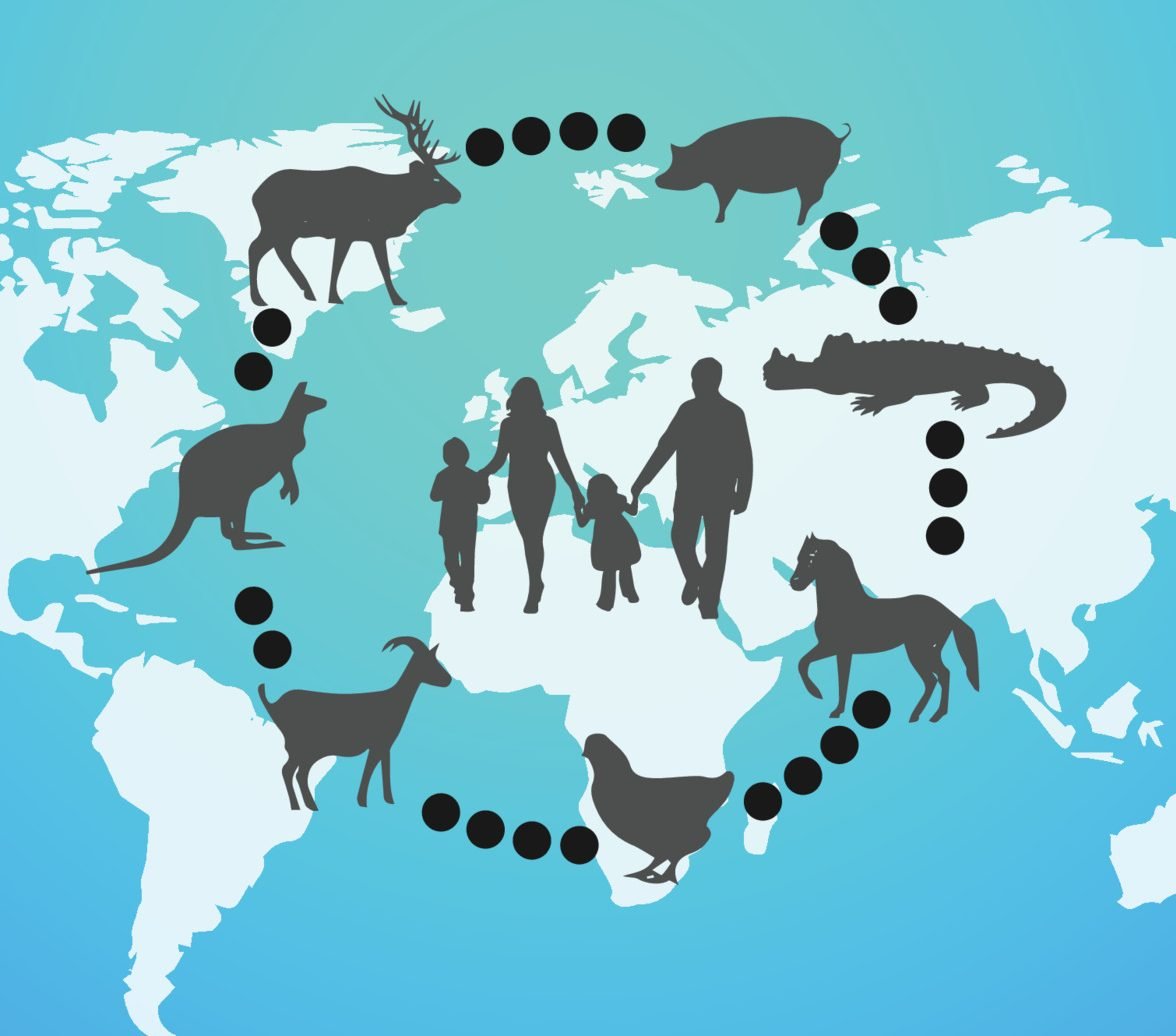 vecteezy world zoonoses day 8013160 e1657198989835