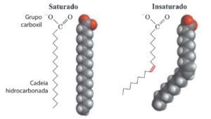 Comparação entre lipídios saturados e insaturados com exemplos de alimentos