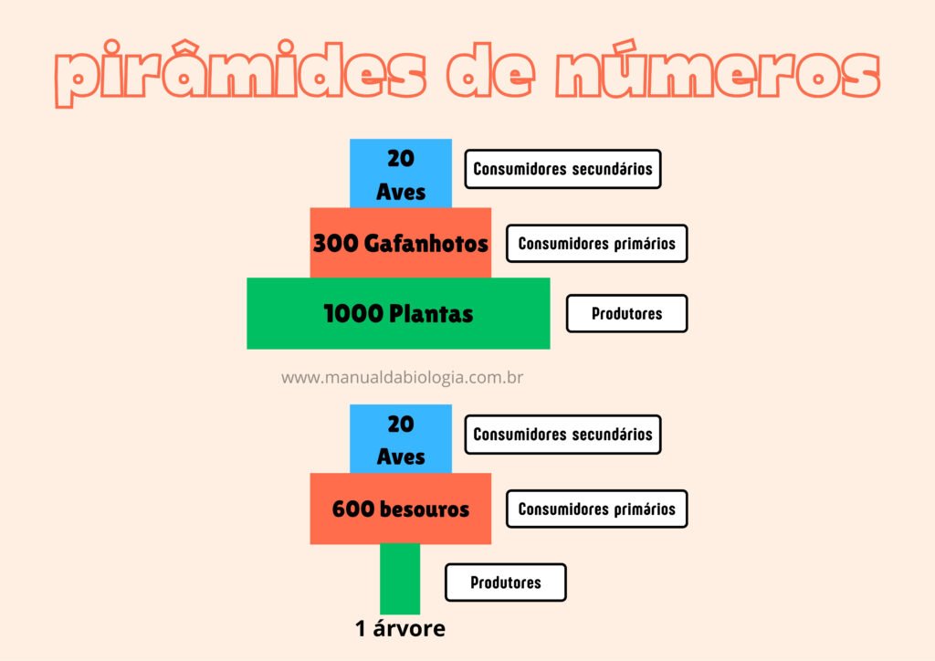 Pirâmide de números