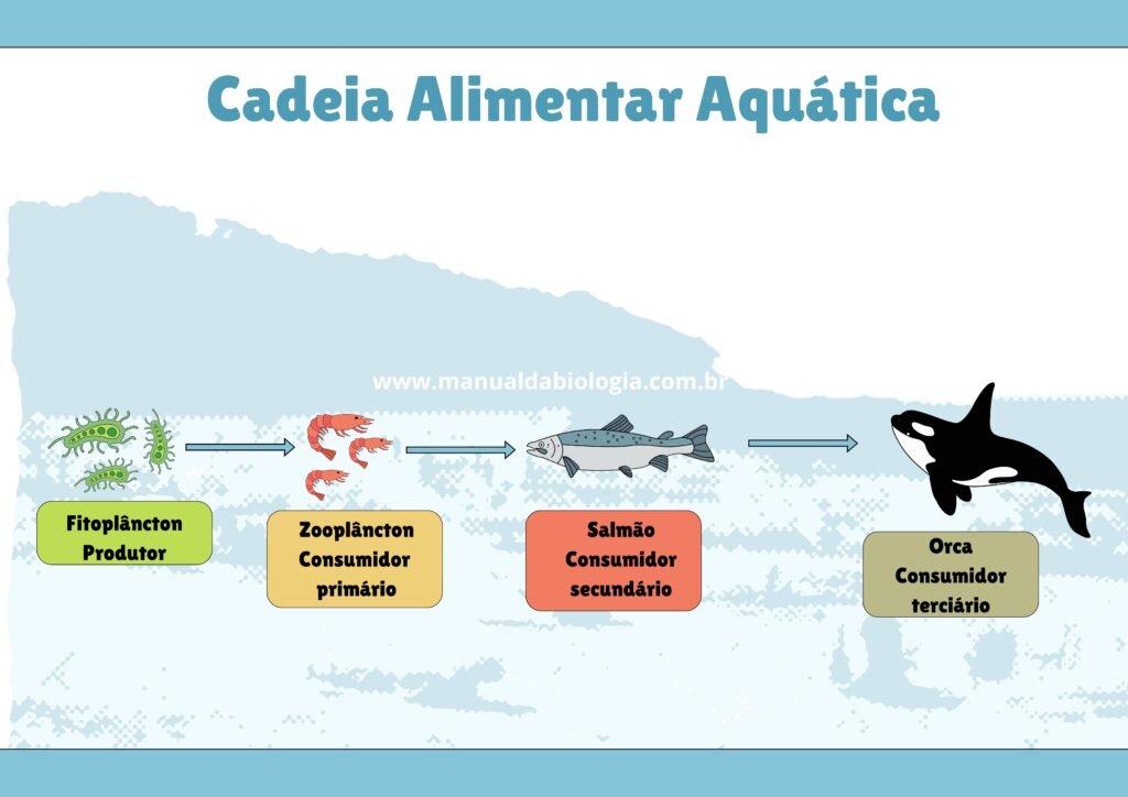Cadeia alimentar aquática