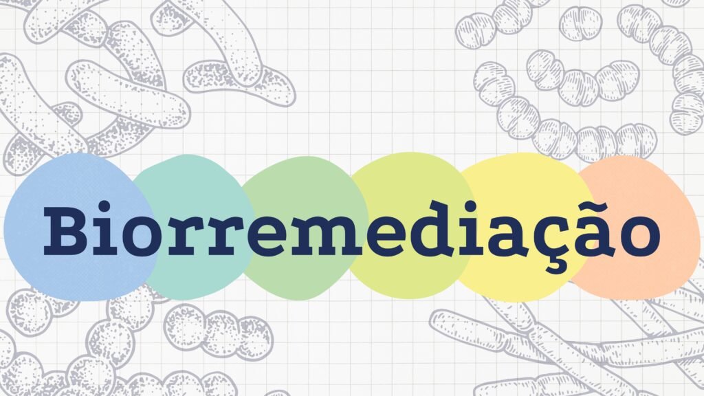 Biorremediação