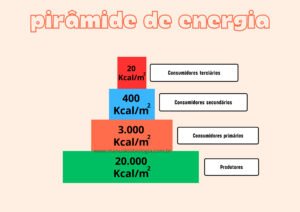Pirâmide de energia