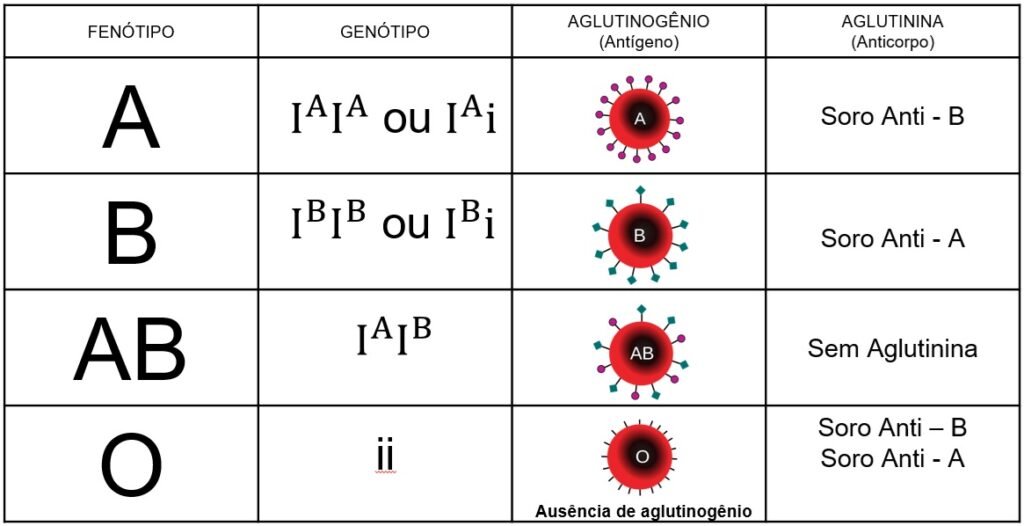 polialelia e sistema abo