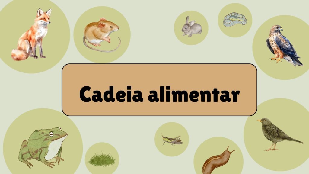 cadeia alimentar