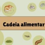 cadeia alimentar