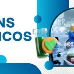 Transgênicos: benefícios e riscos
