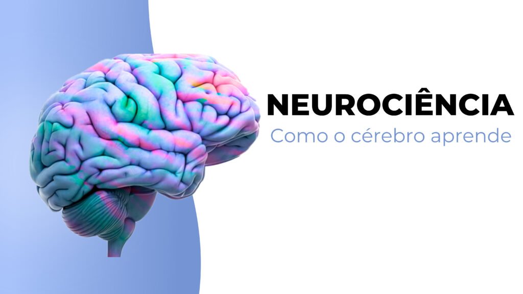 Neurociência: como o cérebro aprende