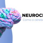 Neurociência: como o cérebro aprende