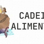 cadeia alimentar
