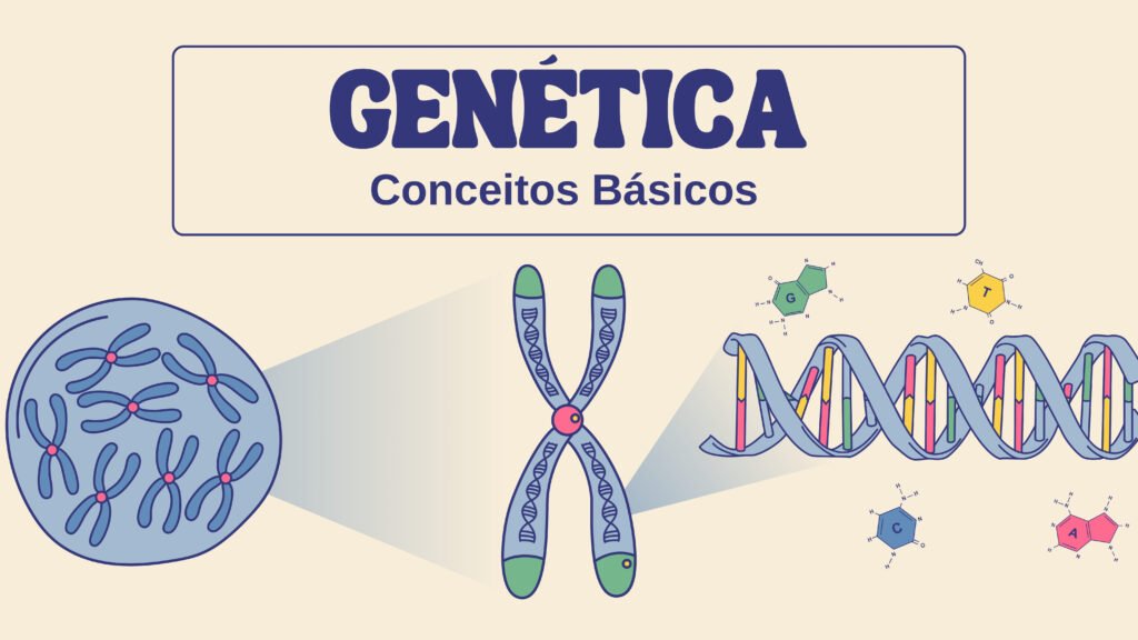 Structure and function of DNA presentation in colorful retro illustrative style