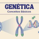 Structure and function of DNA presentation in colorful retro illustrative style