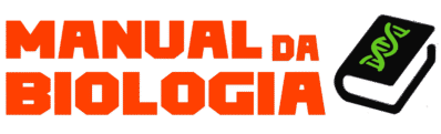logo 11 cópia