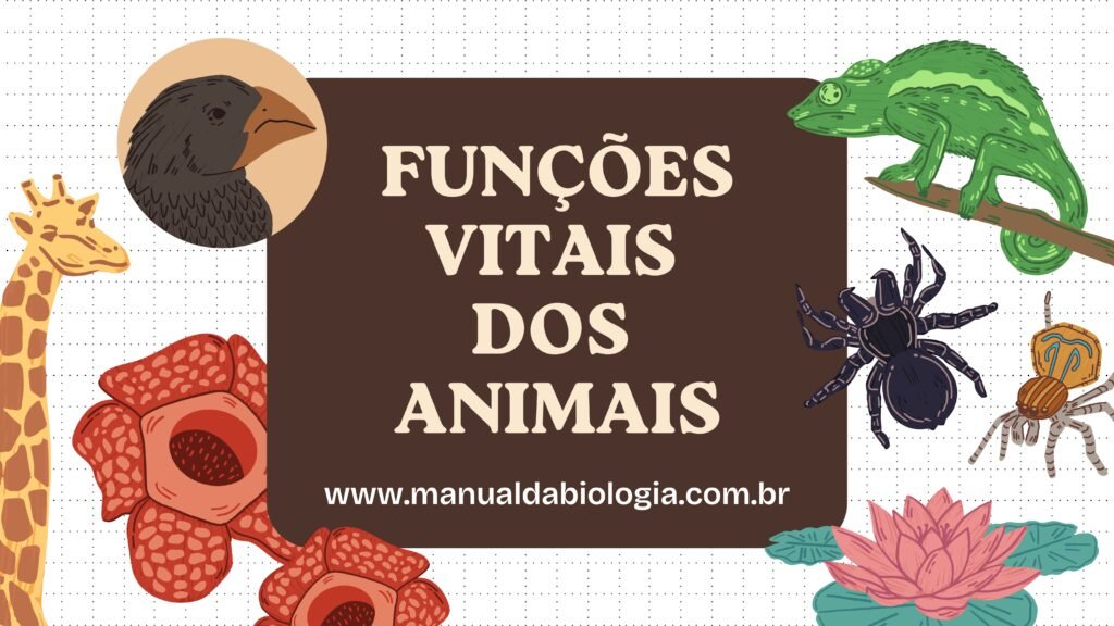 Funções vitais dos animais