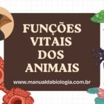 Funções vitais dos animais